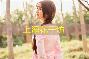 夜上海初创企业如何利用人工智能创造就业 夜上海初创企业如何利用人工智能创造就业