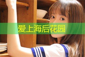 夜上海城市治理政策评估的案例研究 夜上海城市治理政策评估的案例研究