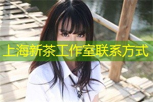 Shanghai's Blockchain Applications and Their Future Potential Shanghai's Blockchain Applications and Their Future Potential